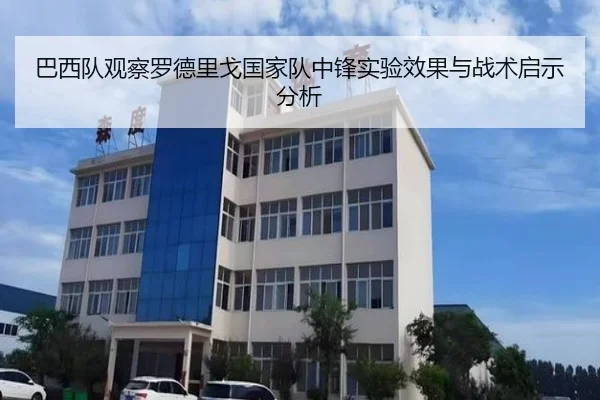 巴西队观察罗德里戈国家队中锋实验效果与战术启示分析